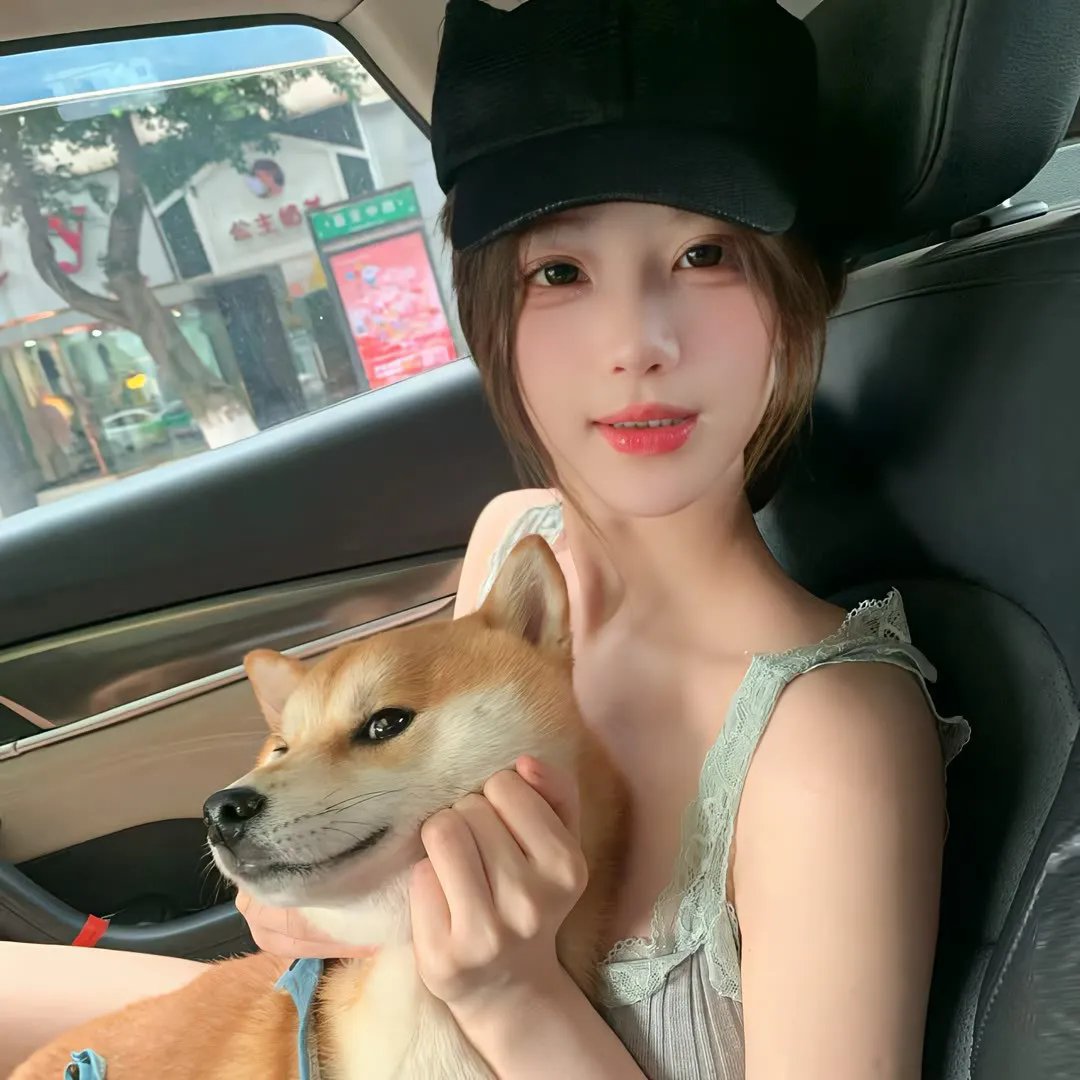 墨菲闹圣诞